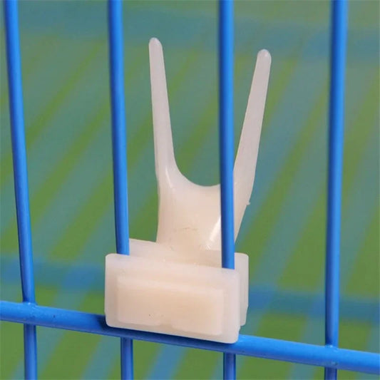 Delysia King Bird Fruits Feeding Fork