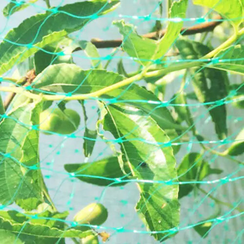 Bird Netting for Gardens and Vineyards - Polyethylene Mmall USA