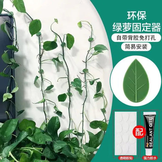 Wall-Mounted Hooks for Climbing Plants and Vines Mmall USA
