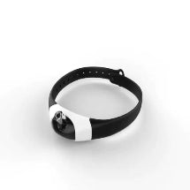 Cat Toy Mmall USA