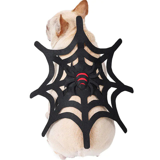 Halloween Cat and Dog Spider Web Decoration Set Mmall USA