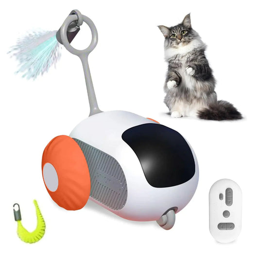 Smart Cat Toy Mmall USA
