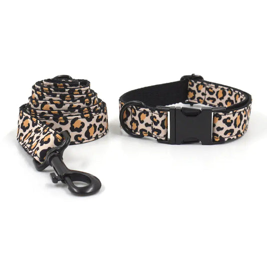 Black Buckle Collar and Leash Set for Dogs Mmall USA