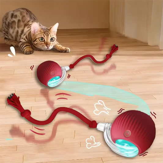 Hot pet dog toys are automatically teasing cat balls and self-exciting cat sticks and ticks and resistant to wear pet toys