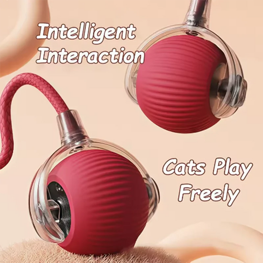 Hot pet dog toys are automatically teasing cat balls and self-exciting cat sticks and ticks and resistant to wear pet toys