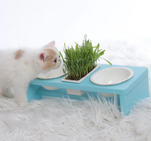Tri-Color Cat Bowl Stand with Inclined Design