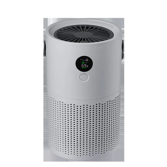 Negative Ion Air Purifier
